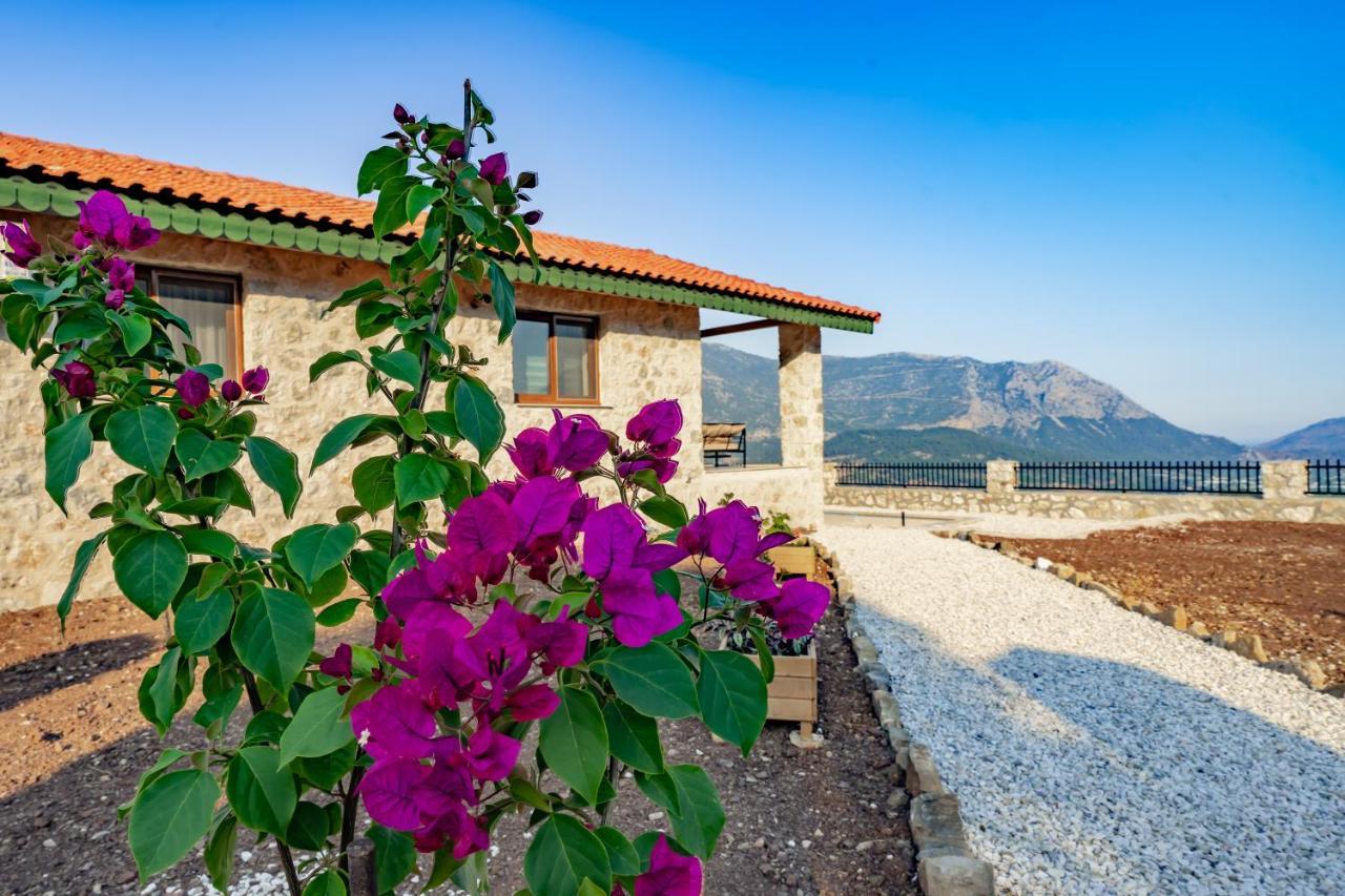Villa Teras อาดราซาน ภายนอก รูปภาพ